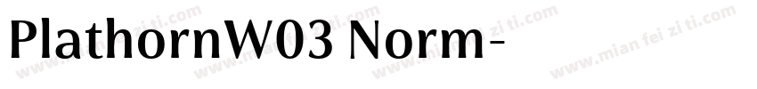 PlathornW03 Norm字体转换